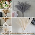 thumbnail image 4 of Grande Falso Gris Pampas Hierba 5 Tallos Extra Esponjoso Falso 70cm Ramo De Flores De Plumas Sala De Estar Decoración Del Hogar Boho Decoración Del Hogar Jarrón Alto Mesa Flor Boda, Gris JAMW Sencillez, 4 of 5