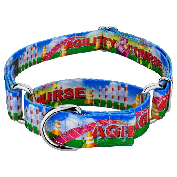 Country Brook Petz® Agility Martingale Dog Collar Limited Edition, Small