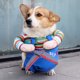 thumbnail image 4 of Cosplay Coat Kitten Puppy Chaqueta Halloween Disfraces para Medianos Pequeños, 4 of 9