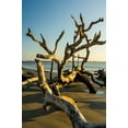 thumbnail image 2 of Theodore, George and Marilu 17x24 White Modern Wood Framed Museum Art Print Titled - USA-Jekyll Island, 2 of 4