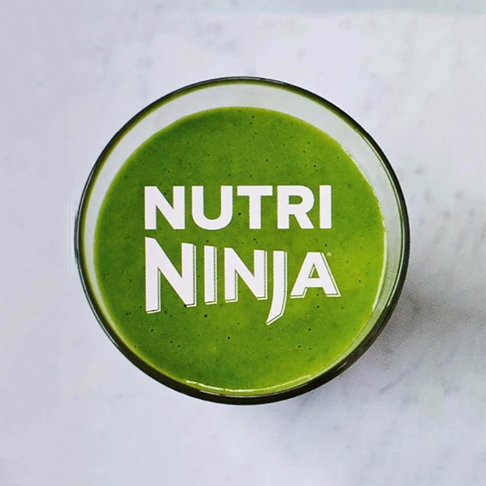 16-oz. Nutri Ninja Pro BL450 900-Watt Blender (Aqua or Red)