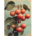 thumbnail image 1 of Qisvanset 12x16 Inch 2D Flat Framed Canvas Art, Fruit of the Spirit Cherry Coquette Bible Verse Girl Home Wall Gift, 1 of 5