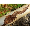 thumbnail image 5 of Zep Root Kill - 32 oz (Case of 4) ZROOT24 - Root Killer for Clogged Drain, 5 of 10