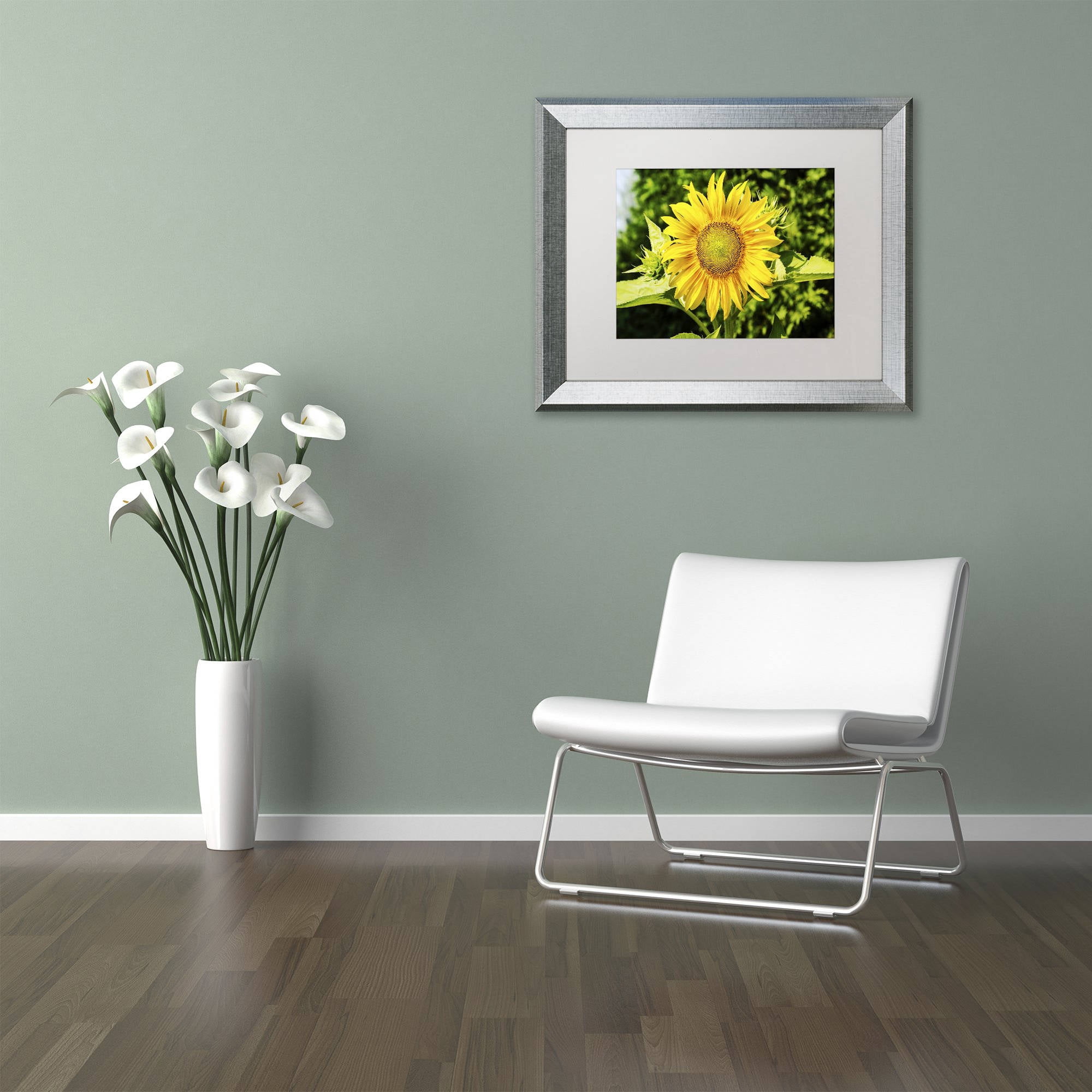 Trademark Fine Art "Just a Sunflower" Canvas Art by Kurt Shaffer, White Matte, Silver Frame
