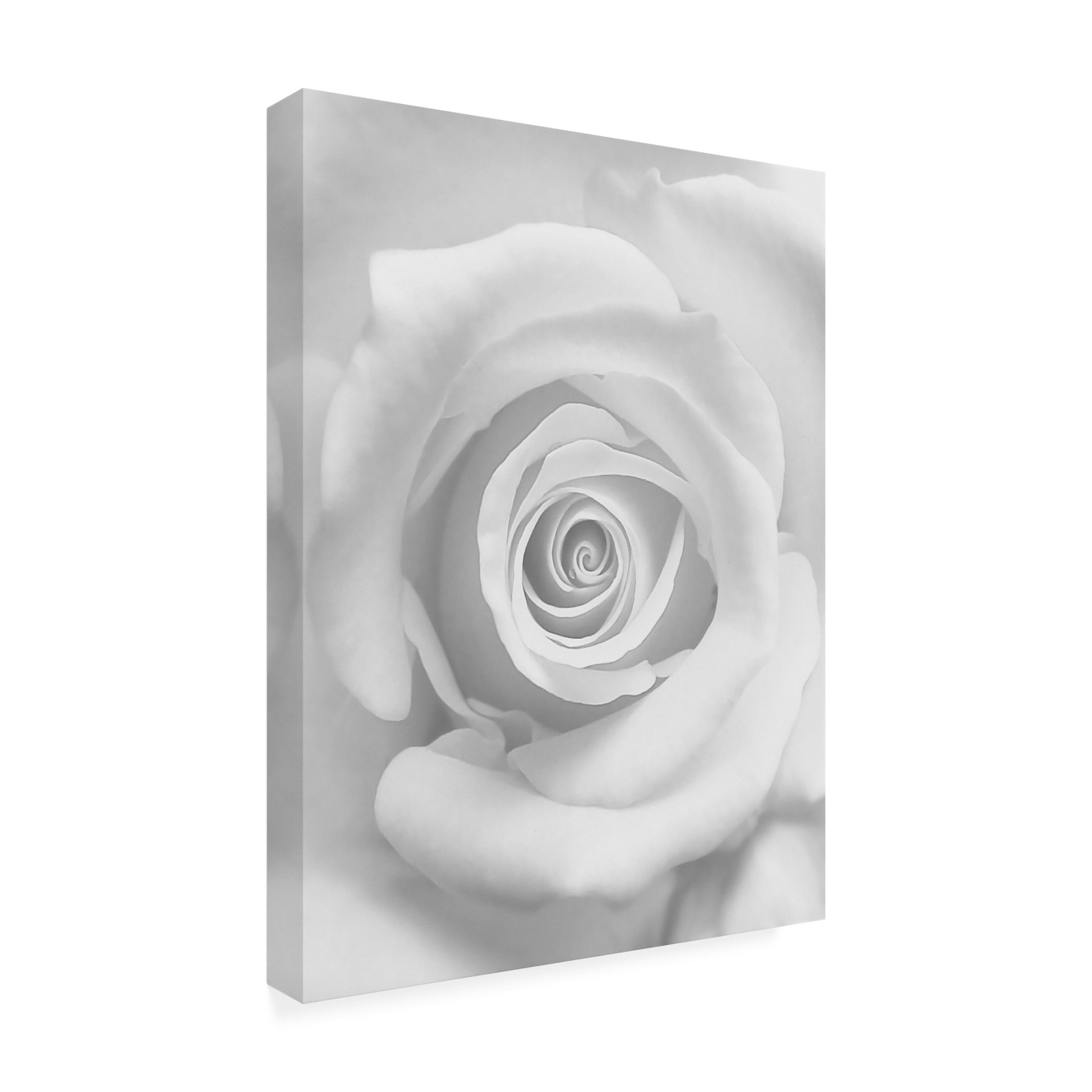 Canvas Wall Art - Kahar Lagaa 'The Rose' Wall Art for Living Room, Bedroom, or Office D?cor by Trademark Fine Art - 24 x 32 Inches