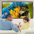 thumbnail image 2 of Portable Projection Screen 16:9 Imaging Outdoor Movie Screen for Travel Home Theater ,Easy to Setup, 2 of 8
