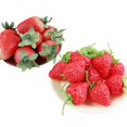 thumbnail image 2 of YIEMEEN 10pcs Realistic Fruit Artificial Strawberry Simulations Fruit Decorative Fake Food Model Display Photography Props Toy, 2 of 18