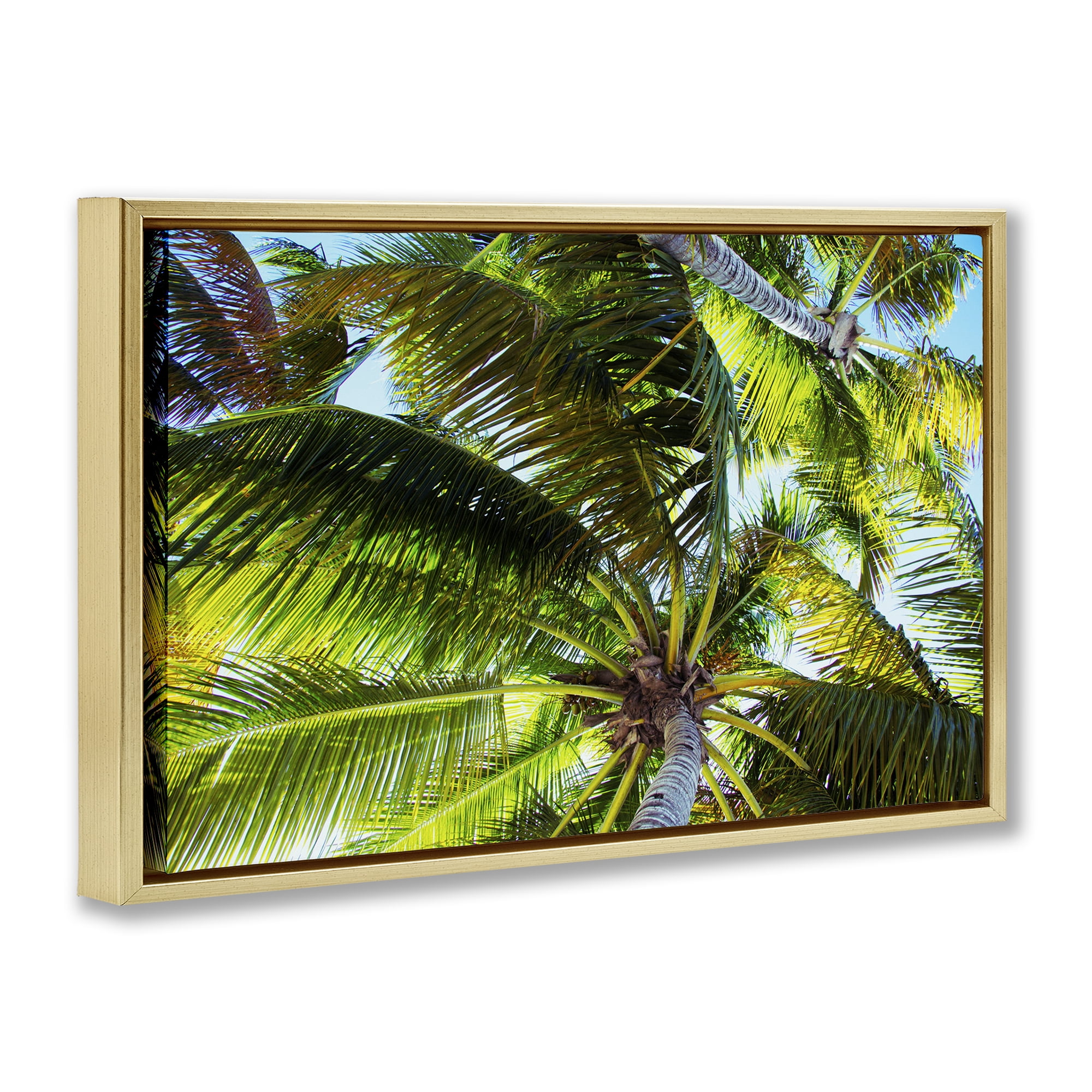 Stupell Industries Swaying Palm Leaves Botanical & Floral Photography Gold Floater Framed Canvas Art Print Wall Art, 25 x 17
