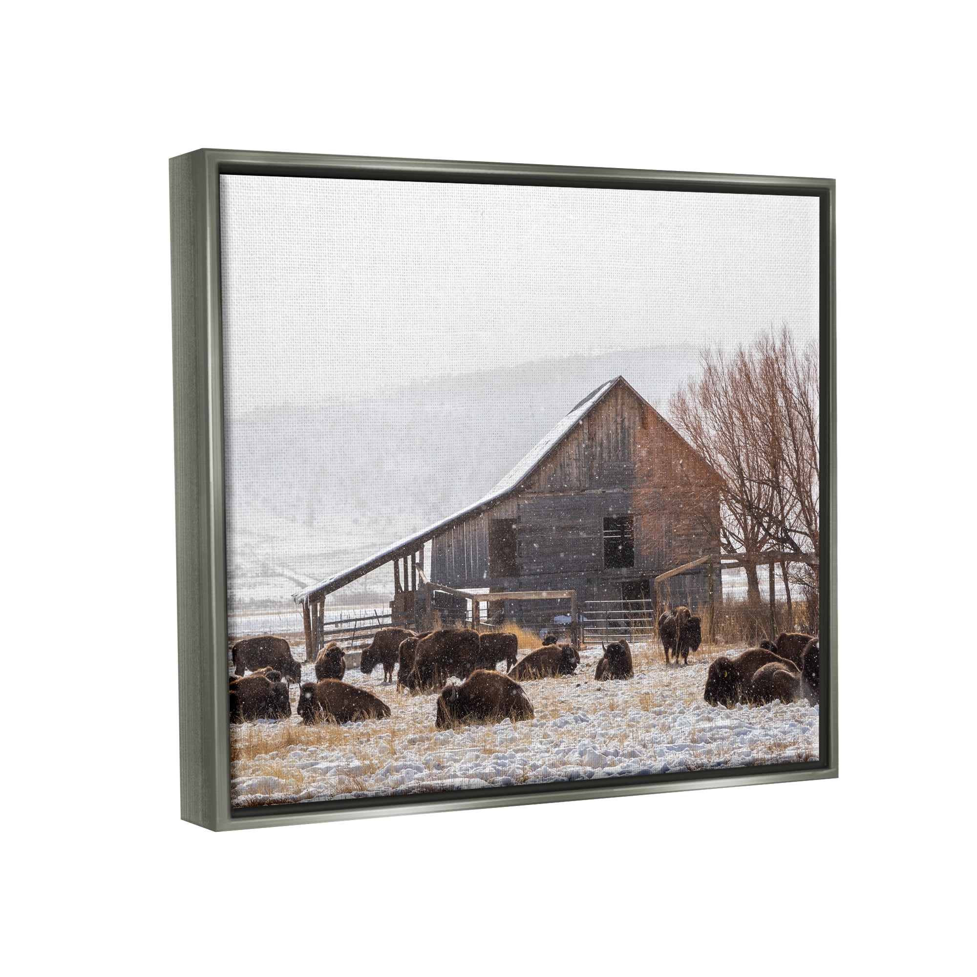 Stupell Industries Snow Dusted Barn Buffalo Bison Rural Farm Photograph Luster Gray Floating Framed Canvas Print Wall Art, Design by Jeff Poe Photography