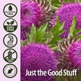 thumbnail image 6 of Nature’s Answer Milk Thistle Seed Extract 2,000 mg, Alcohol-Free, 2 fl oz, 6 of 6