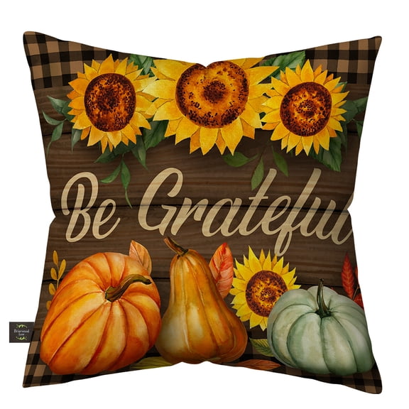 Briarwood Lane Indoor/Outdoor Pillow 17x17 Be Grateful Fall For Fall Pillow