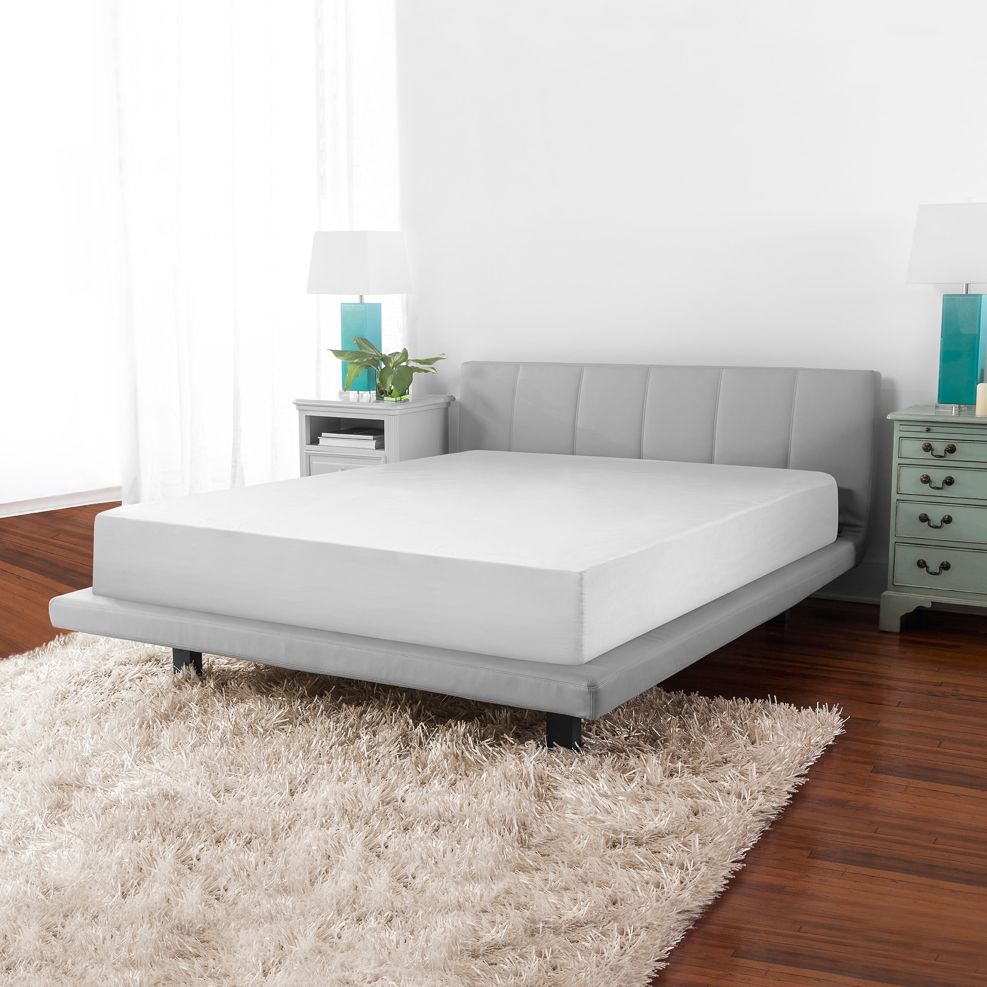 bed bug protection