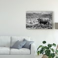 thumbnail image 3 of Trademark Fine Art 'B&W Longhorn II' Canvas Art by Tyler Stockton, 3 of 4