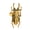 C, variant on Trendy Unisex Animal Themed Ring Featuring A Realistic Scarab Design Jewelry