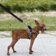 thumbnail image 2 of Pet Dog Canvas Chest Harness - Size XL (Leopard Print), 2 of 2