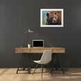thumbnail image 3 of Fitzharris, Tim 18x15 White Modern Wood Framed Museum Art Print Titled - Cinnamon Black Bear, 3 of 4