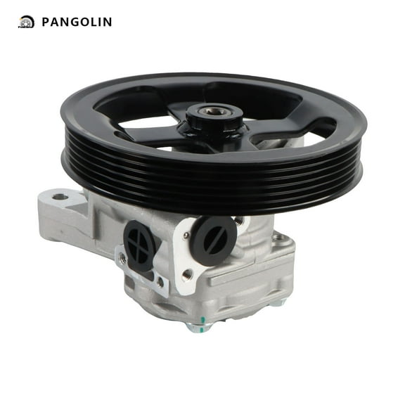 PANGOLIN Power Steering Pump with Pulley 21-5195 Compatible with 2005-2008 Acura RL V6 3.5L Power Assist Steering Pump Replacement Part OE 56100RJA005, 56100RJA015
