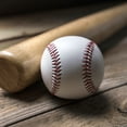 thumbnail image 3 of Pelotas de béisbol suaves 2 uds relleno elástico suave de PU pelota de entrenamiento resistente al desgaste Base de práctica de bateo golpe de bate de aleación de Softbol ANGGREK Otros, 3 of 8