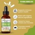 thumbnail image 2 of Kids Immune Support Liquid Extract Drops 1fl.oz, Turmeric, Ashwagandha for Kids, Children Immunity Booster Supplement - Herbal Goodness, 2 of 11