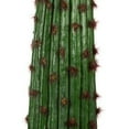 thumbnail image 2 of Vickerman 49" Artificial Cactus In Black Pot., 2 of 5