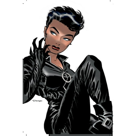 Catwoman Vol 1 Trail Of The Catwoman Walmart Com