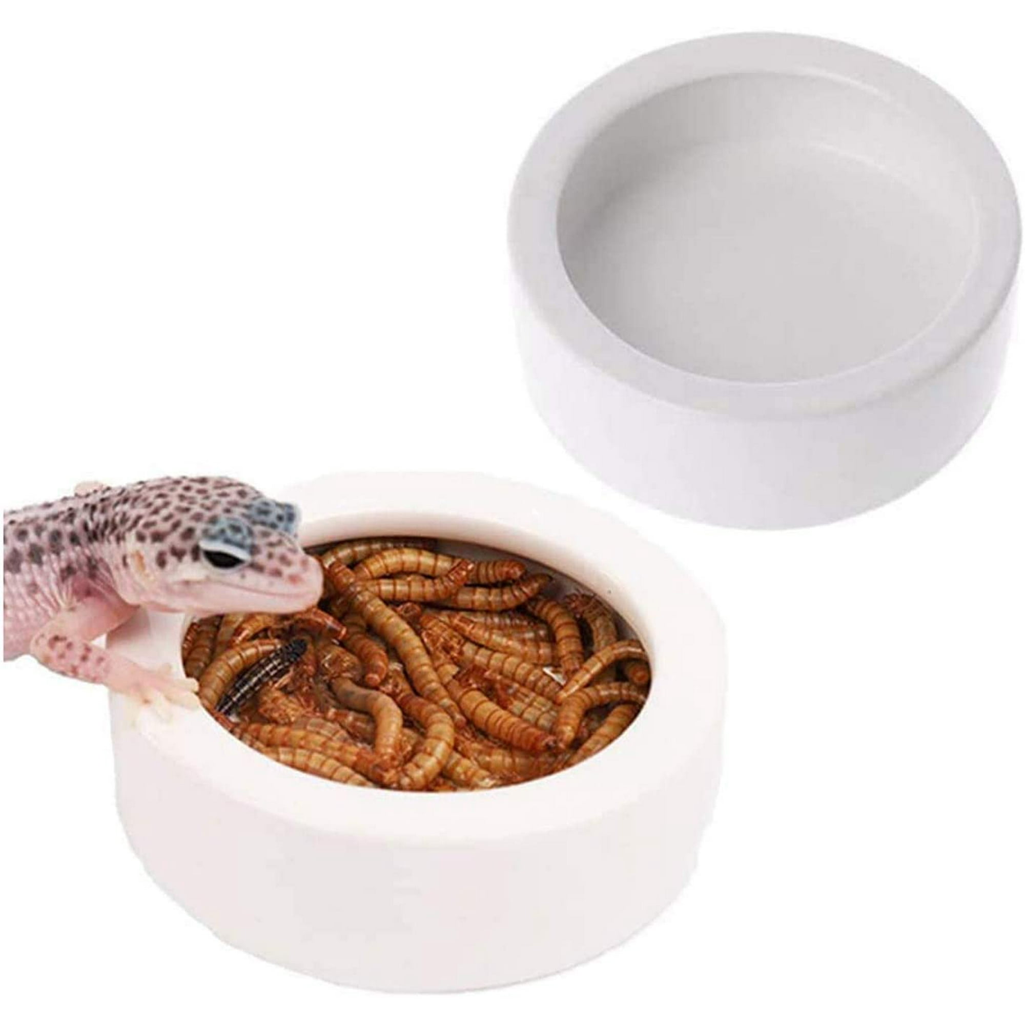 2 Pack Reptile Food Bowl Mini Ceramic Water Feeder Bowl Reptile Worm Feeding Dish for Lizard Turtle Gecko Leopard Chameleon Corn Snake Walmart