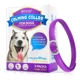 thumbnail image 1 of Collar Para Perro Tranquilizante Con Feromonas Lavanda, 1 of 8