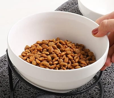 RKXQT Cats Bowl Pet Food Bowl Elevated Ceramic Cats Water Bowl Pet Feeding Bowl with Stand Cat Accessory Pet Supplies