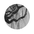 thumbnail image 2 of Wei, Xiang 20x20 White Modern Wood Framed Museum Art Print Titled - Early Spring No.3, 2 of 4