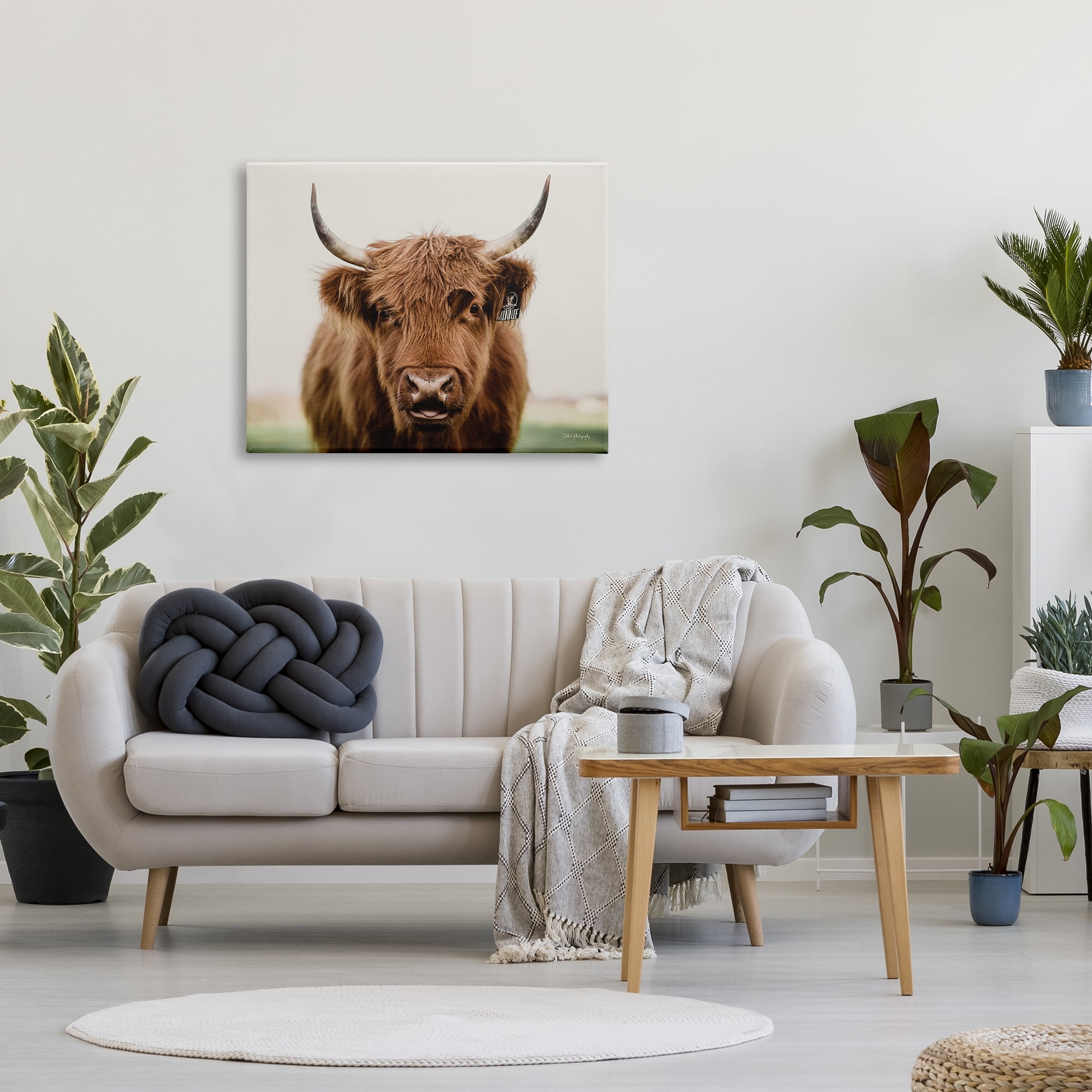 Stupell Industries Farmhouse Cattle Photography Animals & Insects Photography Gallery Wrapped Canvas Print Wall Art, 40 x 30