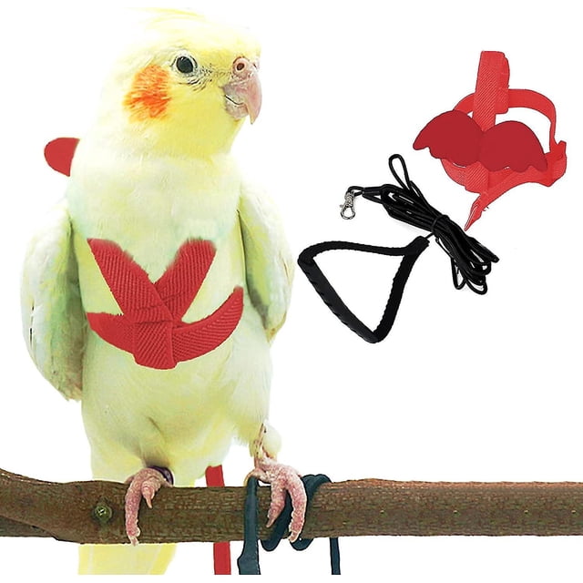 Arnés ajustable para pájaros con correa de 80 pulgadas, Kit de vuelo al aire libre, cuerda de entrenamiento para pájaros, loros, cacatúas XS
