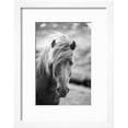 thumbnail image 2 of Portrait of Icelandic Horse in Black and White, Animals Framed Art Print Wall Art by Aleksandar Mijatovic Sold by Art.Com, 2 of 6