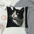 thumbnail image 2 of Cat Pillow Case Funny Gift for Cat Lovers Cat Mom Gifts Crazy Cat Lady Gifts for Women Cat Decor, It's Not Cat Hair It's Kitty Glitter,Pillow Covers for Sofa Couch Bed Home Decor, 2 of 5