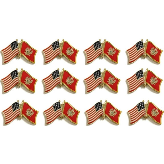 Box of 12 Montenegro & US Crossed Flag Lapel Pins, Montenegro & American Double Friendship Tie & Hat Pin Badges