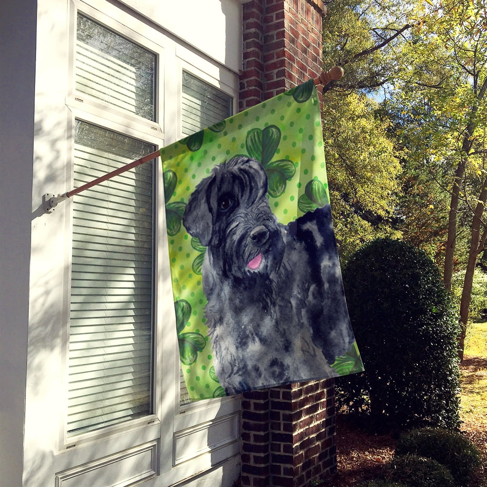 Carolines Treasures BB9834CHF Giant Schnauzer St Patricks Flag Canvas House Size  Large multicolor