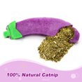 thumbnail image 3 of 4PCS Cat Catnip Toy Creative Fruit Vegetables Cat Training Toy Cat Plush Toy, 3 of 10