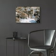 thumbnail image 6 of Epic Art 'Winter Sage-Coyote' by Ron Parker, Acrylic Glass Wall Art, 24"x16", 6 of 8