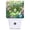 Cute Frog in Flower, variant on Cute Frog in Flower Night Light, Plug into Wall with Dusk to Dawn Light Sensors, Warm Nightlights for Bedroom, Bathroom, Hallway, Kitchen, Gifts Ideas for Girls Women