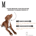 thumbnail image 2 of Collar de nailon, relleno de neopreno en el interior, comunica la necesidad de su perro para prevenir accidentes Adepaton Correas y Collares para Perros, 2 of 5