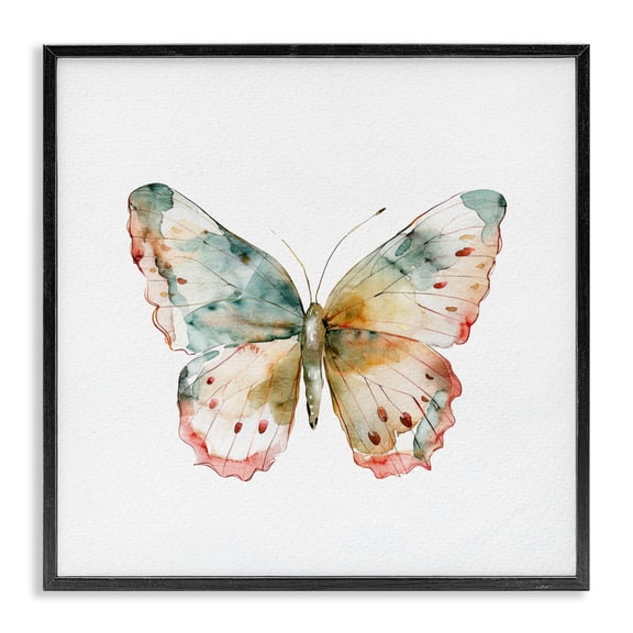 Stupell Industries Traditional Muted Watercolor Butterfly Black Framed Giclee Art, 12 x 12, by Kim Allen
