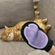 thumbnail image 4 of Guantes de baño para mascotas, perros y gatos. Guante cepillo de masaje para limpiar ositos de peluche dorados y razas grandes., 4 of 5