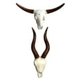 thumbnail image 1 of Escultura de pared de calavera de animal artificial, adorno de resina para pared de cabeza de animal de calavera toro y oveja, 1 of 9