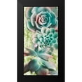 thumbnail image 2 of Prime, Marcus 9x14 Black Modern Framed Museum Art Print Titled - Adored Succulents 6, 2 of 5