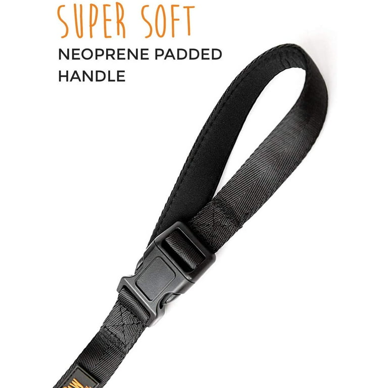 Extra long dog hotsell leash for yard