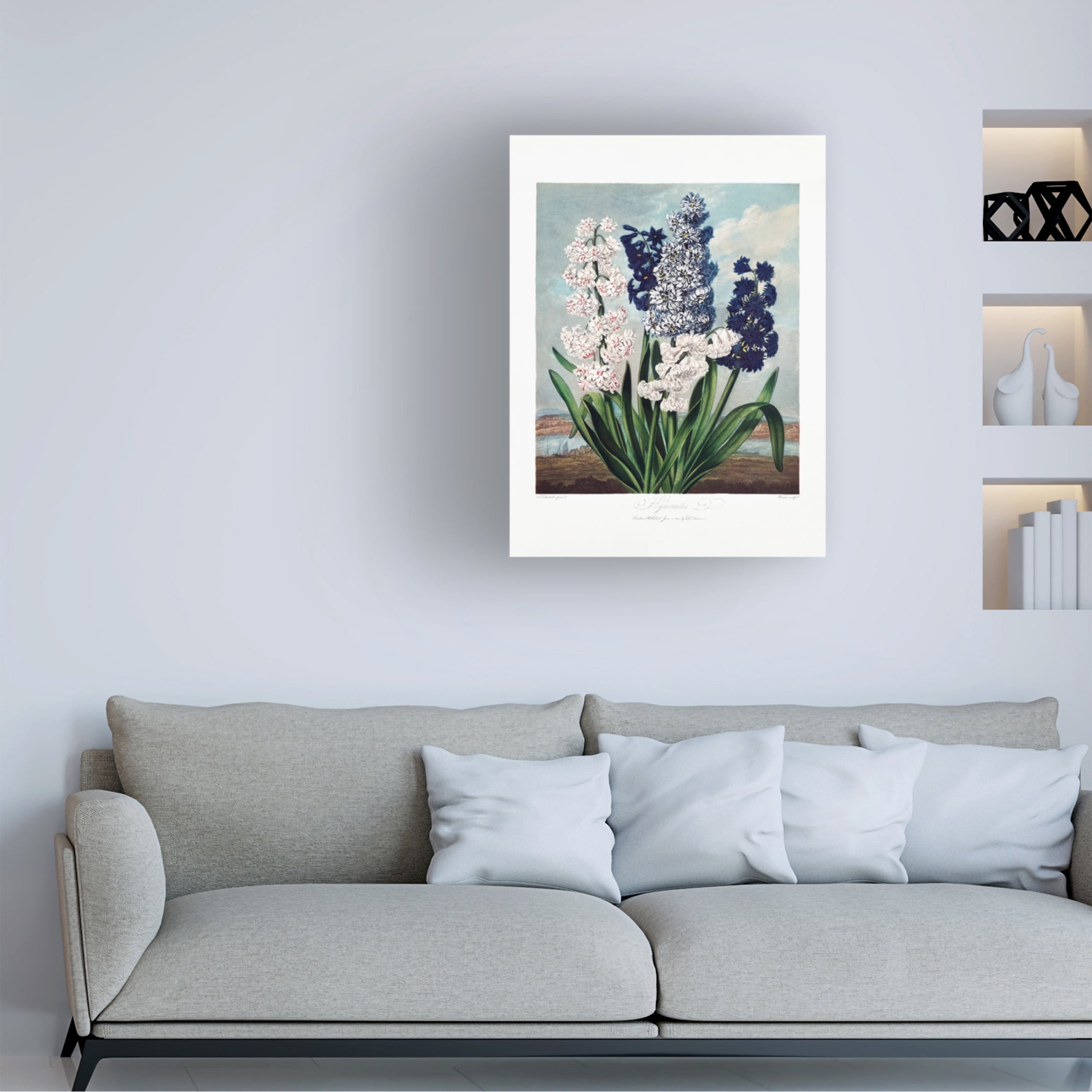 Trademark Fine Art Pictufy  Hyacinths from The Temple of Flora 1807 Canvas Wall Art