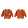 thumbnail image 2 of RUINIXCW Toddler Baby Boy Girl Halloween Sweater Outfit Warm Fall Winter Knit Sweaters Boys Girls Pumpkin Skull Goose Ghost Embroidery Long Sleeve Knitwear Jumper Pullover Tops, 2 of 9