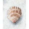 thumbnail image 2 of Harper, Ethan 26x32 White Modern Wood Framed Museum Art Print Titled - White Shell Study IV, 2 of 4