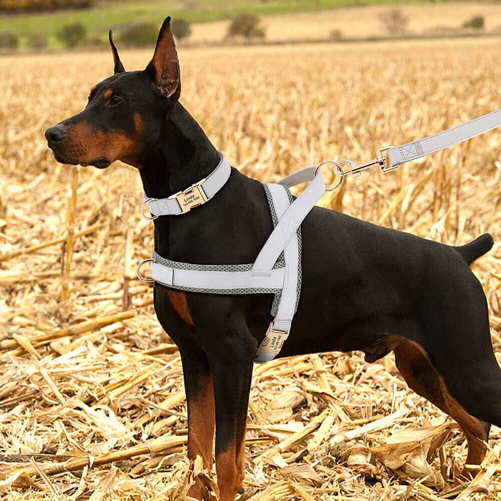 Pet Artist 3pcs Personalized Dog Harness & Collar & Leash set Metal ID Name Metal Buckle Mesh Padded Adjustable