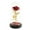 Red, variant on Gold Foil Rose Lampshade with LED Lights Glass Dome Display, Valentine's Day Ornament Decorative Desktop Home Decor Couple Anniversary Birthday Gift Romantic Warm Ambient Lighting