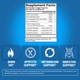 thumbnail image 4 of Fat Burner + Probiotic Supplement - EVL Lean Mode Stimulant-Free Diet Supplement with Green Coffee Bean, L-Carnitine, CLA, Green Tea Extract & Garcinia Cambogia (50 Servings) - Weight Loss Pills, 4 of 9